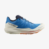 Salomon Pulsar Trail Men